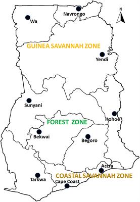 Genetic deletions and high diversity of Plasmodium falciparum histidine-rich proteins 2 and 3 genes in parasite populations in Ghana